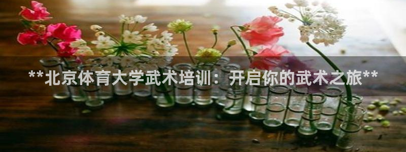 焦点娱乐平台客服热线电话号码：**北京体育大学武术培