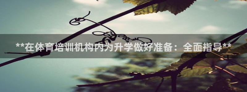 焦点娱乐有限公司：**在体育培训机构内为升学做好准备