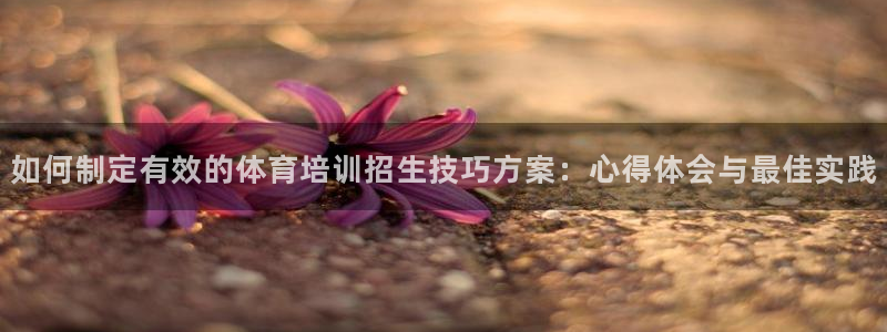焦点娱乐平台玩法官方导师：如何制定有效的体育培训招生