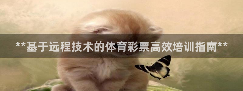 焦点娱乐加速器下载安装：**基于远程技术的体育彩票高