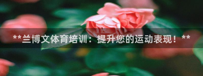 焦点娱乐传媒有限公司官网