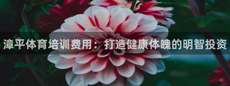 焦点娱乐平台注册账号：漳平体育培训费用：打造健康体魄