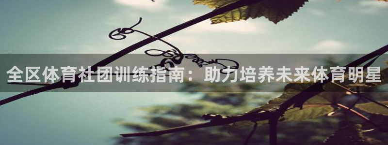 焦点娱乐平台客服：全区体育社团训练指南：助力培养未来
