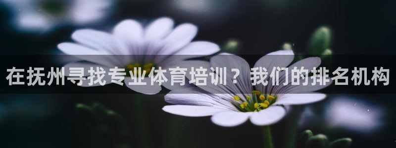焦点娱乐拉菲11月11日