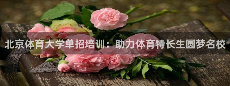 焦点娱乐说说句子：北京体育大学单招培训：助力体育特长