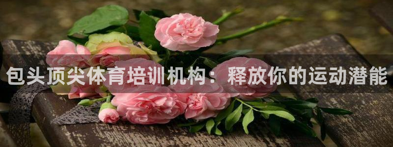 焦点娱乐如何注册账号的：包头顶尖体育培训机构：释放你