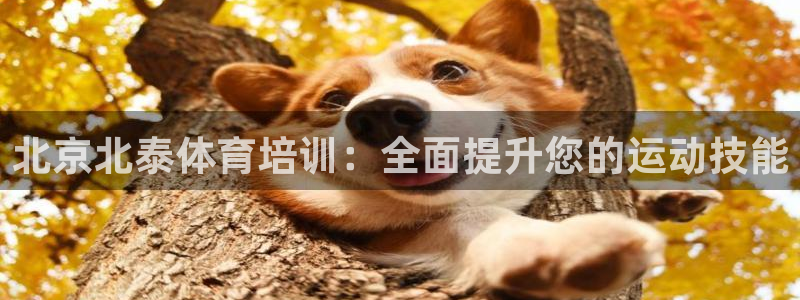 焦点娱乐官方网站首页下载手机版：北京北泰体育培训：全