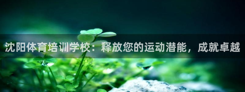 焦点娱乐平台章7O777：沈阳体育培训学校：释放您的