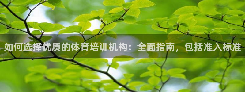 焦点娱乐平台果7O777：如何选择优质的体育培训机构
