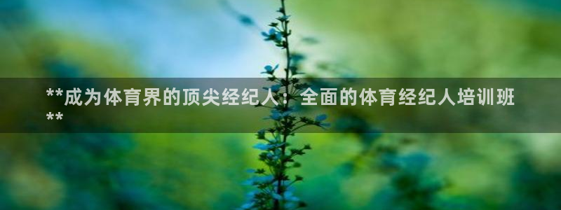焦点娱乐公司的发展历程简介