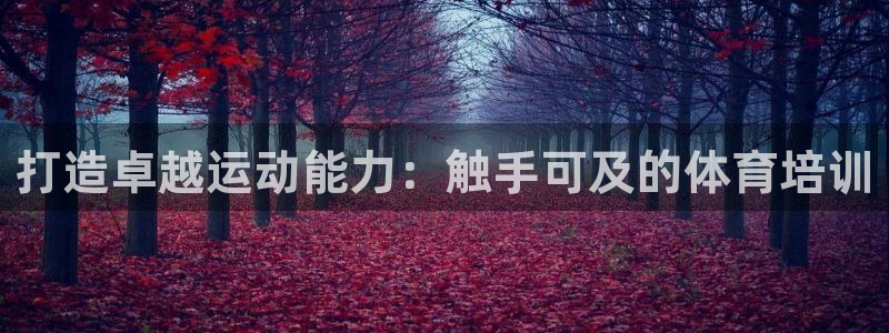 焦点娱乐官方网站下载手机版：打造卓越运动能力：触手可