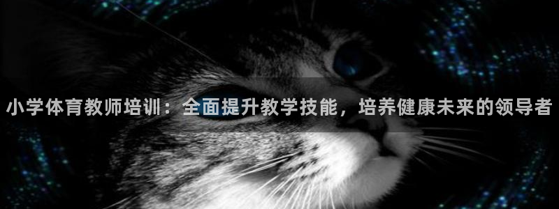 焦点娱乐是哪个公司的品牌：小学体育教师培训：全面提升