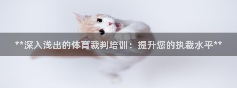 焦点娱乐拉菲：**深入浅出的体育裁判培训：提升您的执