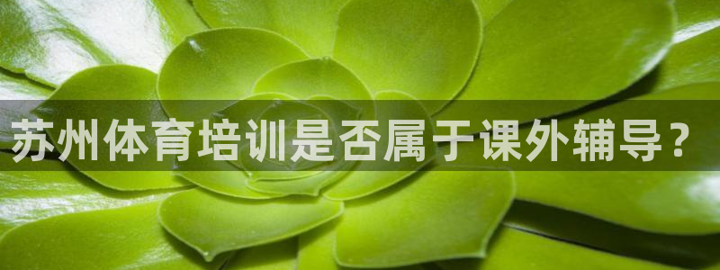 焦点娱乐网：苏州体育培训是否属于课外辅导？