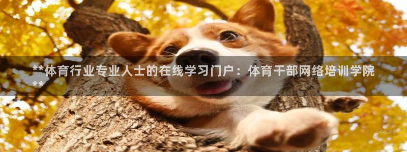 焦点娱乐公司简介资料：**体育行业专业人士的在线学习