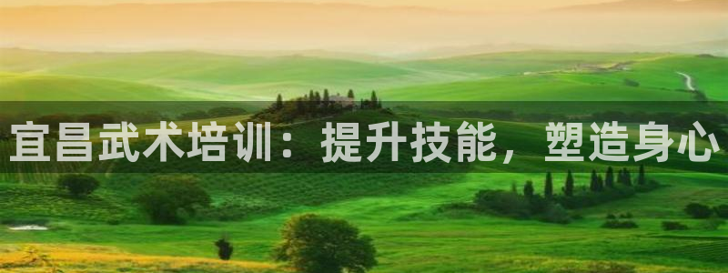 焦点娱乐平台留7O777：宜昌武术培训：提升技能，塑