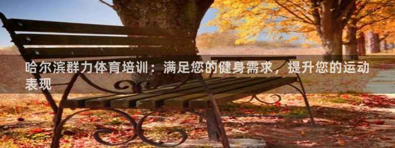 焦点娱乐官网首页入口网站：哈尔滨群力体育培训：满足您
