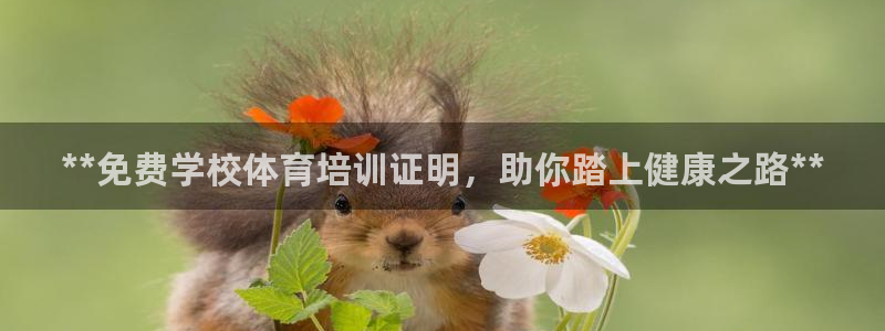 焦点娱乐app下载官网苹果版：**免费学校体育培训证