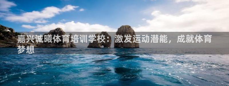 焦点娱乐是哪个公司的：嘉兴诚曦体育培训学校：激发运动