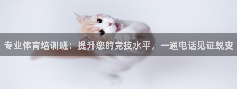 焦点娱乐vs皇族不败神话：专业体育培训班：提升您的竞
