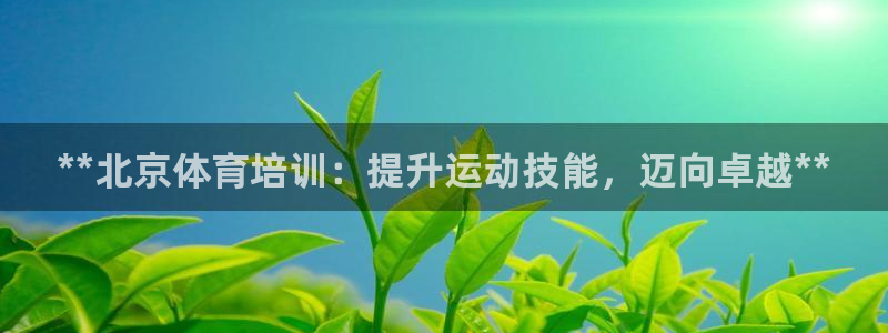 焦点娱乐公司的发展历程：**北京体育培训：提升运动技
