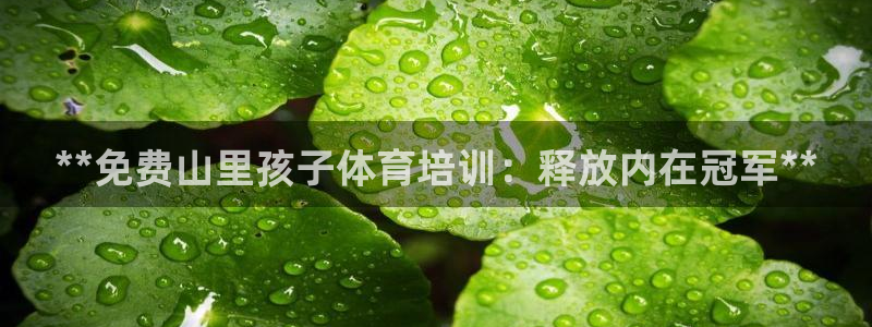 焦点娱乐平台注册账号是什么意思：**免费山里孩子体育