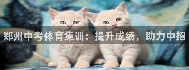 焦点娱乐有限公司怎么样：郑州中考体育集训：提升成绩，