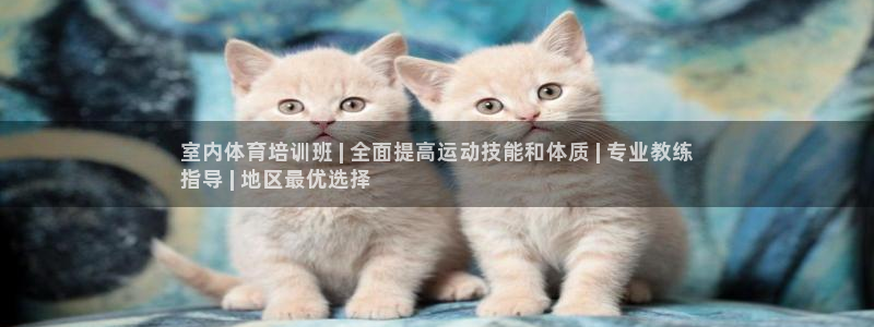 焦点娱乐怎么找：室内体育培训班 | 全面提高运动技能