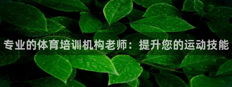 焦点娱乐传媒有限公司招聘：专业的体育培训机构老师：提
