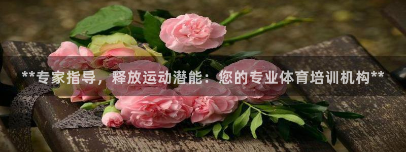 焦点娱乐开发商是谁：**专家指导，释放运动潜能：您的