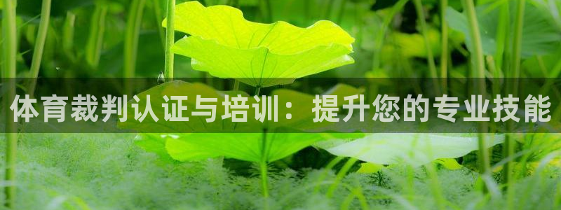 焦点娱乐家 5O6917 焦点：体育裁判认证与培训：