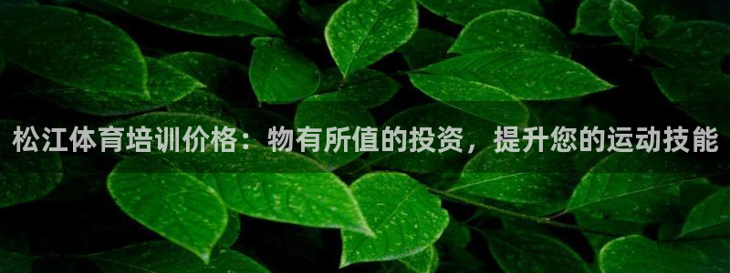 焦点娱乐平台注册账号是什么意思：松江体育培训价格：物