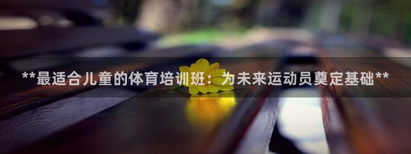 焦点娱乐有限公司怎么样：**最适合儿童的体育培训班：