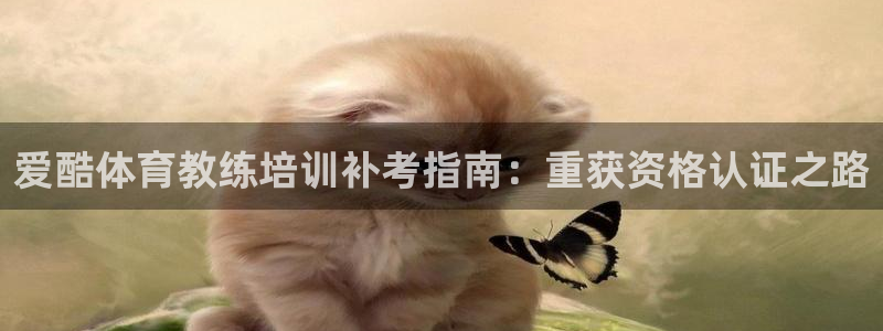 焦点娱乐营7O777：爱酷体育教练培训补考指南：重获