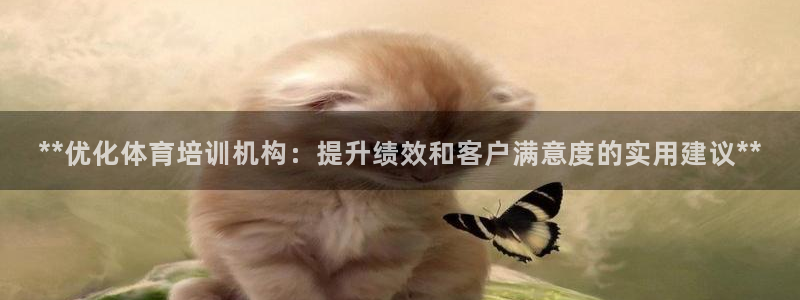 焦点娱乐拉菲11月12日：**优化体育培训机构：提升