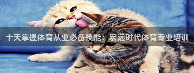 焦点娱乐平台注册账号是什么意思：十天掌握体育从业必备