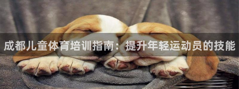 焦点娱乐官网首页下载手机版：成都儿童体育培训指南：提