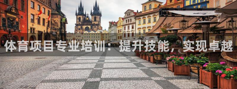 焦点娱乐开发商是谁：体育项目专业培训：提升技能，实现