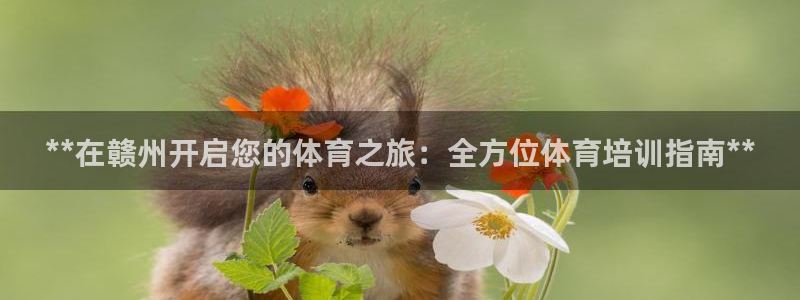 焦点娱乐平台是正规的吗安全吗可靠吗：**在赣州开启您