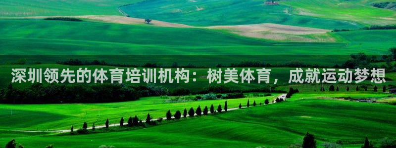 焦点娱乐全国总冠军：深圳领先的体育培训机构：树美体育