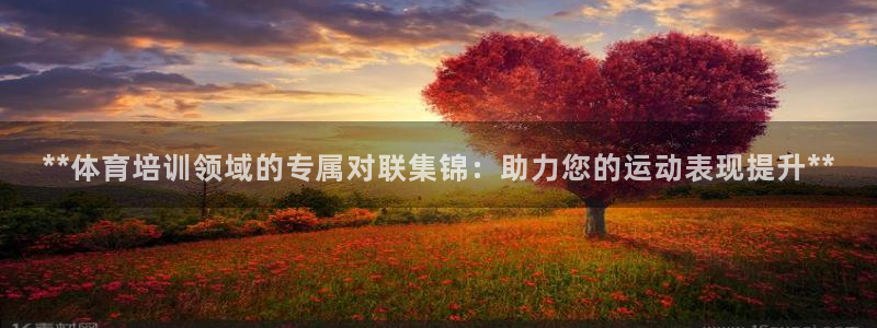 焦点娱乐app下载：**体育培训领域的专属对联集锦：