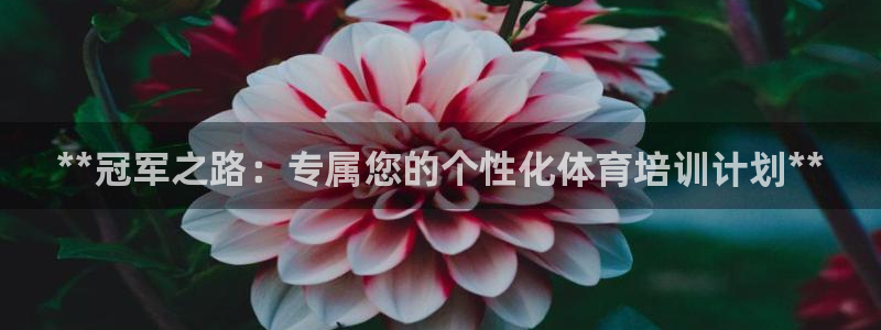 焦点娱乐下载手机版最新版：**冠军之路：专属您的个性