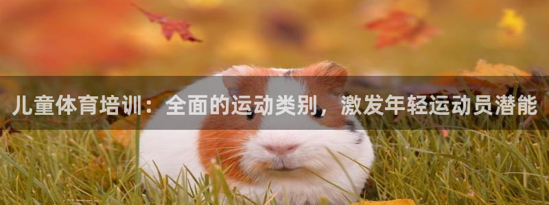 焦点娱乐官方网站下载：儿童体育培训：全面的运动类别，