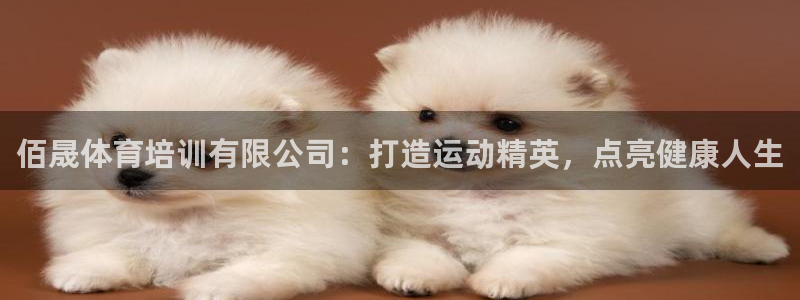 焦点娱乐有限公司：佰晟体育培训有限公司：打造运动精英