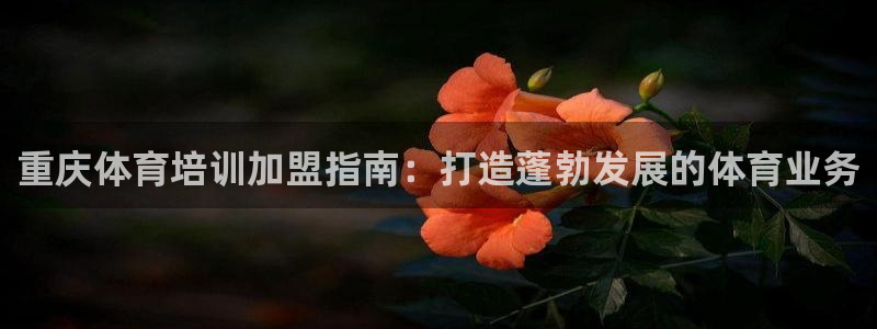 焦点娱乐如何注册账号的：重庆体育培训加盟指南：打造蓬