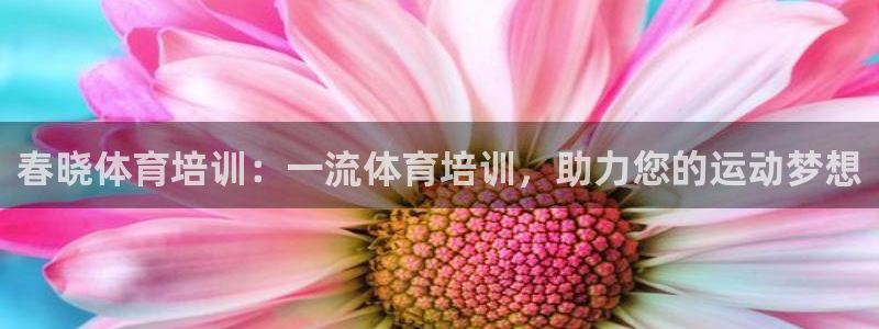 焦点娱乐公司简介图片：春晓体育培训：一流体育培训，助
