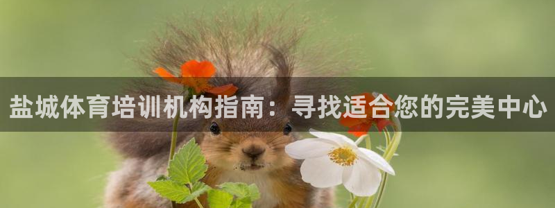 焦点娱乐传媒有限公司招聘：盐城体育培训机构指南：寻找