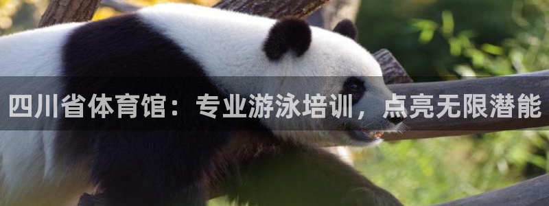 焦点娱乐公司官网：四川省体育馆：专业游泳培训，点亮无