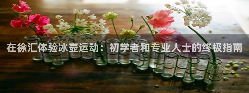 焦点娱乐官网下载安装苹果版：在徐汇体验冰壶运动：初学