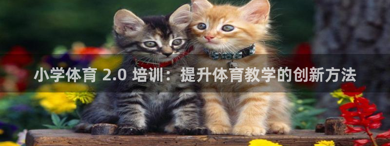 焦点娱乐平台例7O777：小学体育 2.0 培训：提